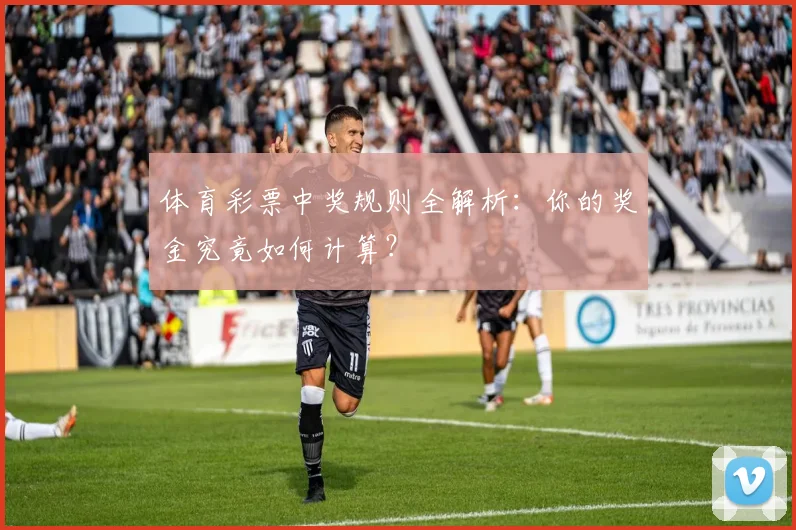 体育彩票中奖规则全解析：你的奖金究竟如何计算？